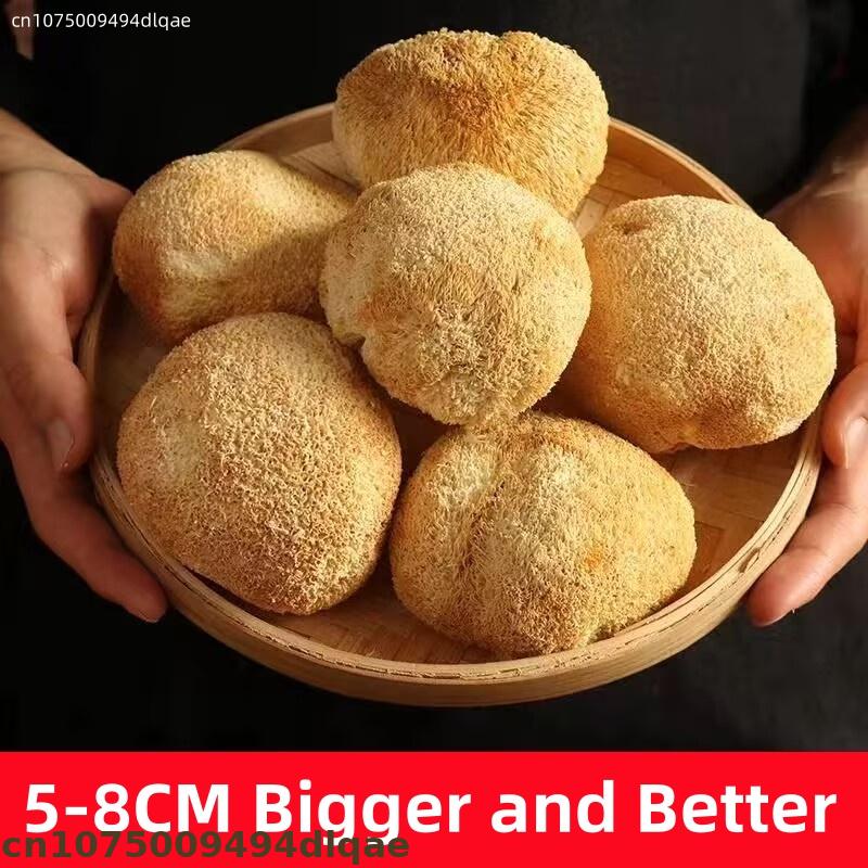 Soap Making Home - Premium Dried Lion's Mane Mushroom |