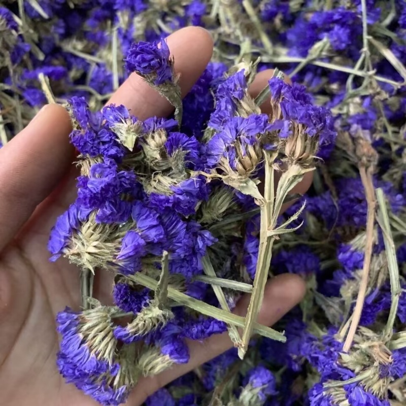 Top Natural Forget-me-not Drie – Soap Making Home Bewertung und Preis