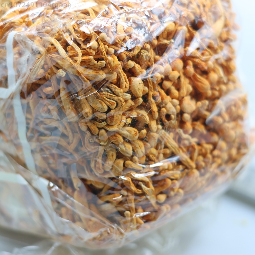 250g/500g Premium Natural Cord – Soap Making Raw Material Bewertung und Preis