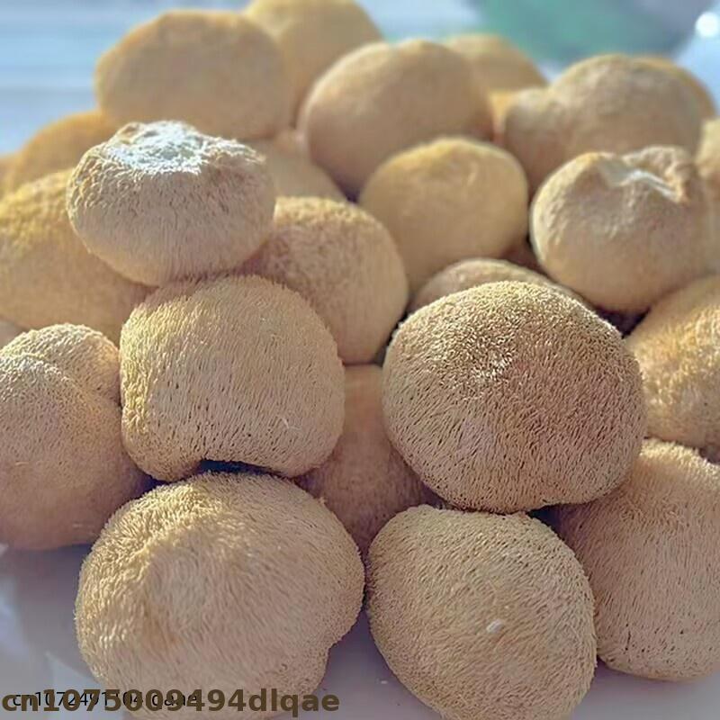 Premium Dried Lion's Mane Mush – Soap Making Home Bewertung und Preis